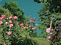DSC02999