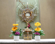 eucharistic_adoration_annunic.jpg align=