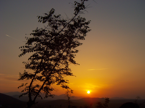 Sunset