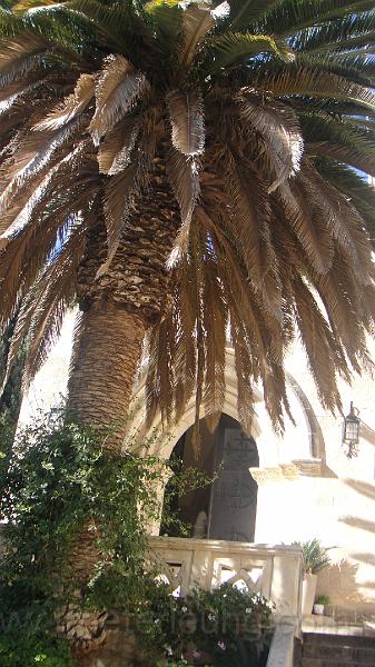 DSC05010.JPG