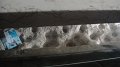DSC05244