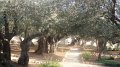 DSC05264
