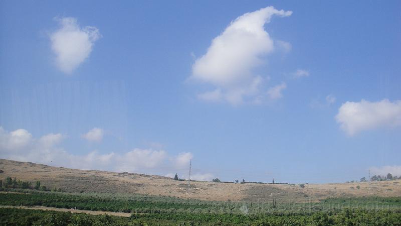 DSC05935.JPG