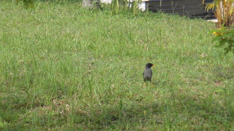 DSC08808.JPG