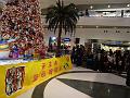 DSC00209