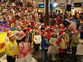 DSC00251