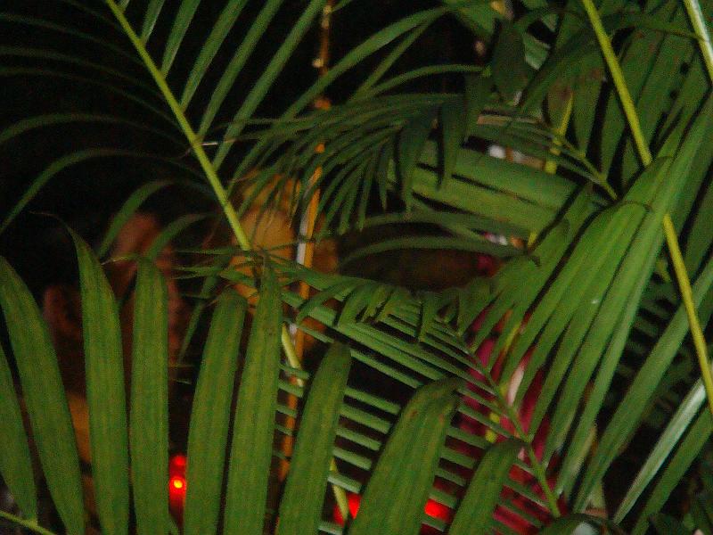 DSC07668.JPG