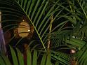 DSC07671