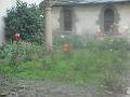 DSC00440