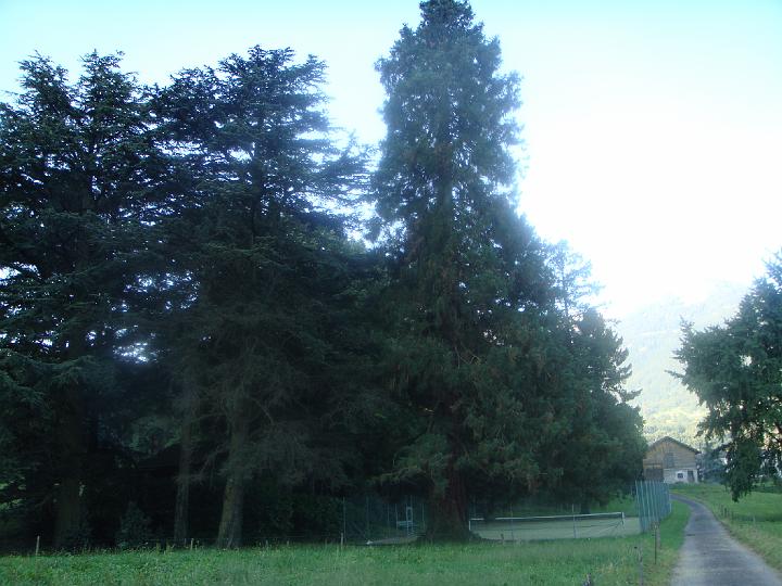 DSC00776.JPG