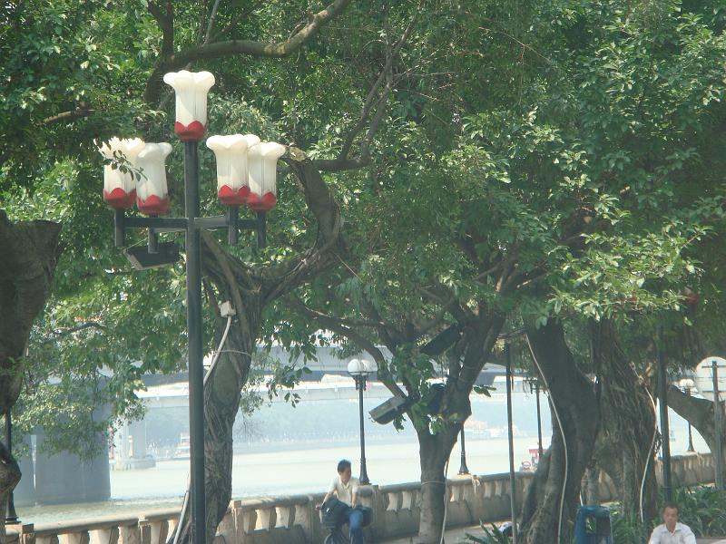 DSC07304.JPG