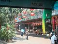 DSC07305