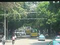 DSC07313