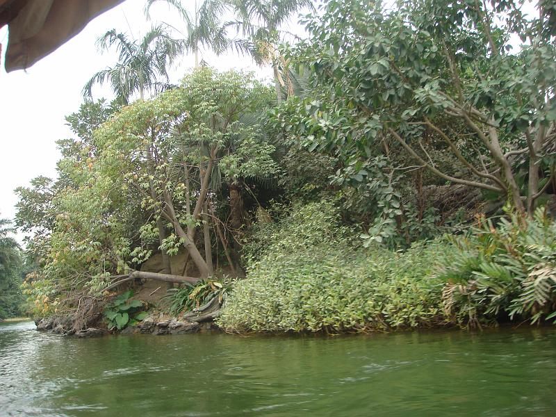 ds_262.JPG