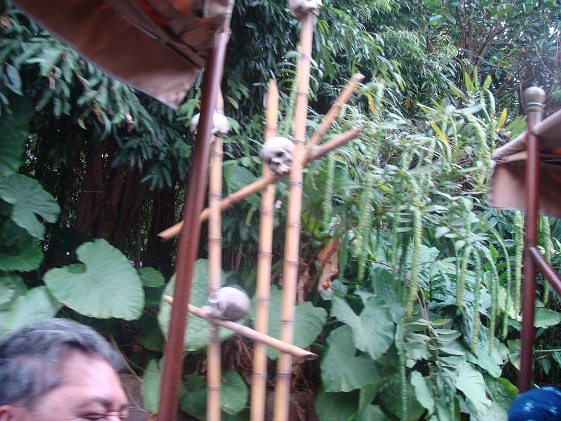 ds_2767.JPG