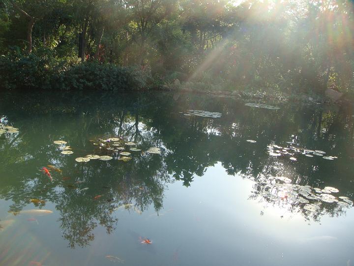 DSC03948.JPG