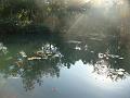DSC03948