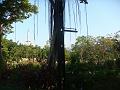 DSC03951