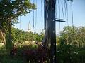 DSC03952