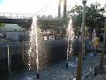 DSC03955