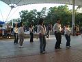DSC03987