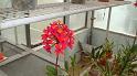 DSC00598